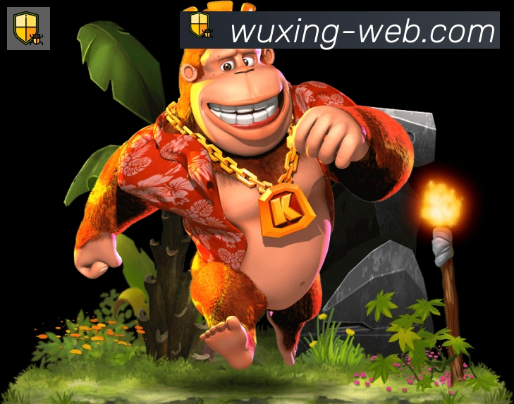奖项证书